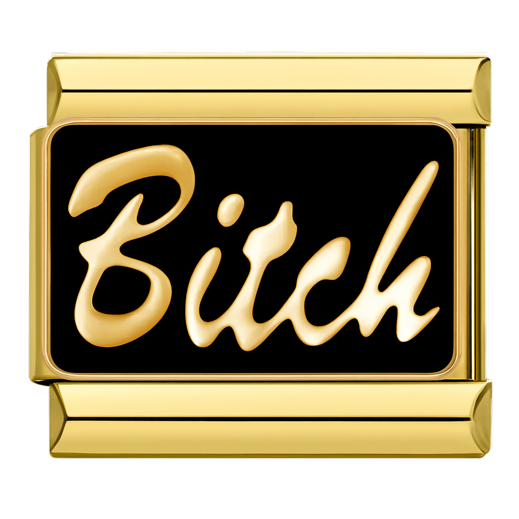 bitch text Italian charm 9mm bracelet link Gold