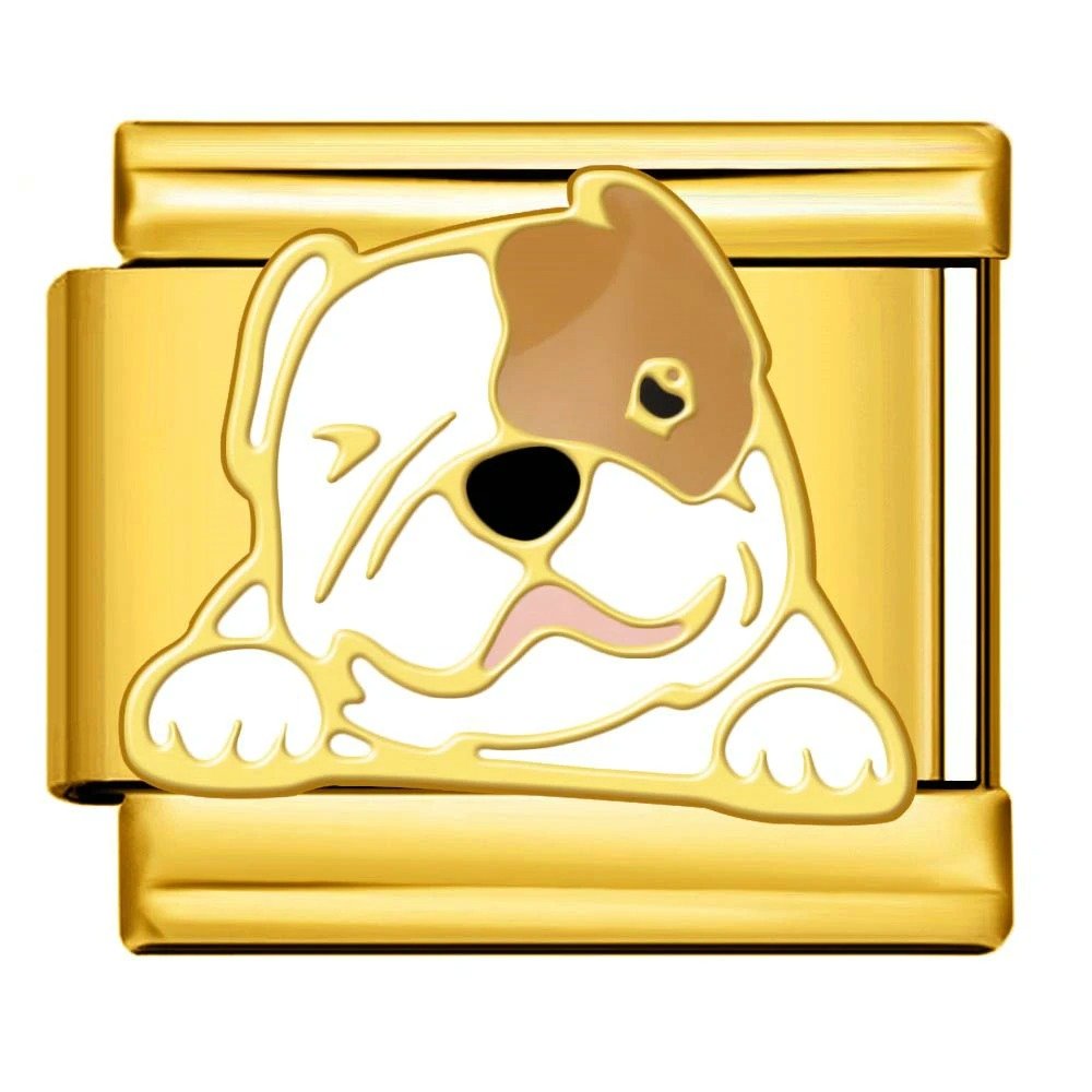 Bulldog - β Italian Charm Bracelet by Charmette
