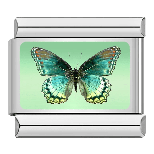 Green and blue Butterfly Italian charm 9mm detailed wing design