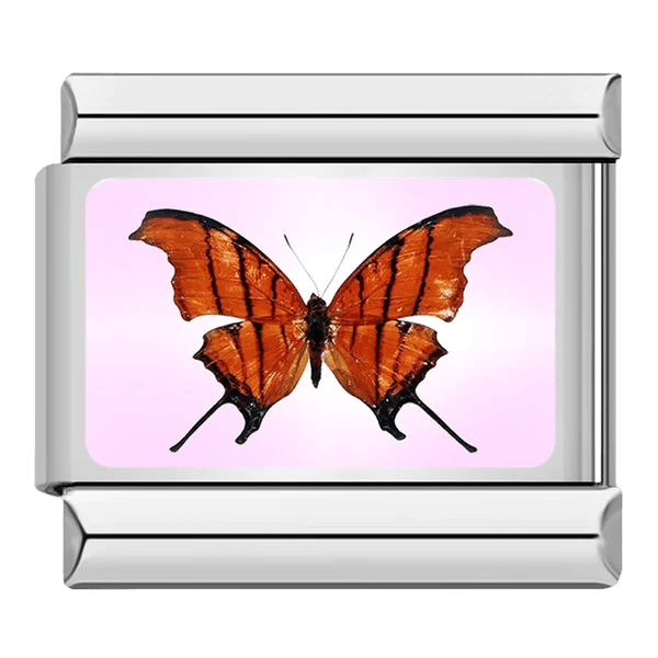 Orange Butterfly Italian charm 9mm detailed wing design on pink background