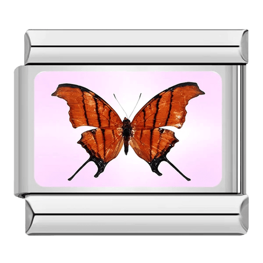 Orange Butterfly Italian charm 9mm detailed wing design on pink background