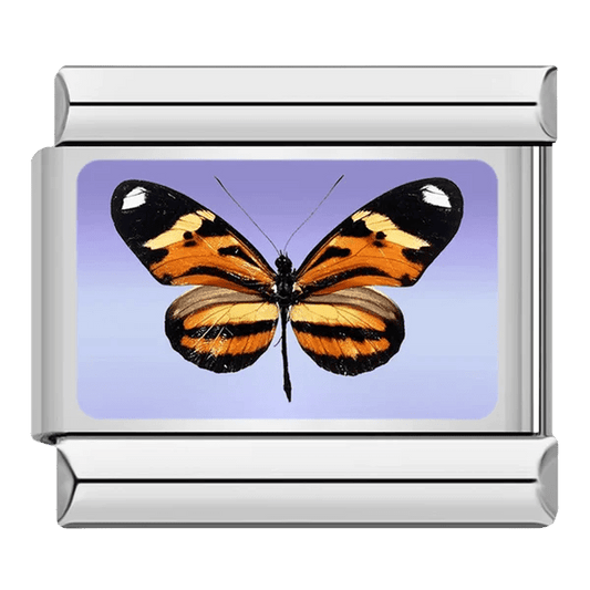 Orange and black Butterfly Italian charm 9mm on lavender background