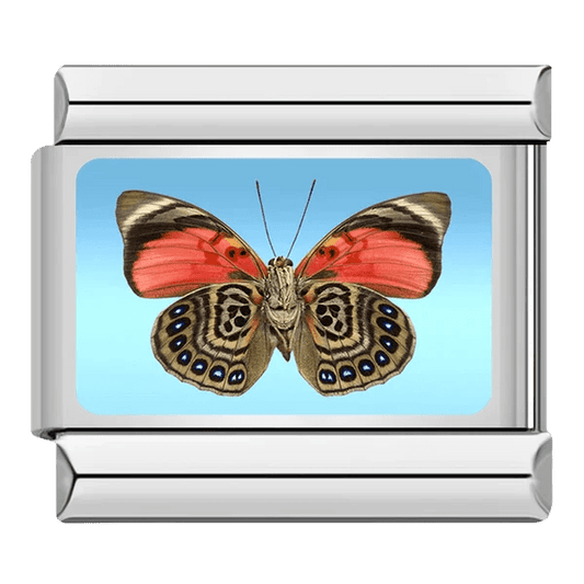 Red and brown Butterfly Italian charm 9mm with patterned wings on blue background
