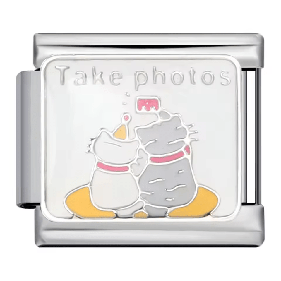 Take photos cats scene Italian charm 9mm cat photo Italian charm link
