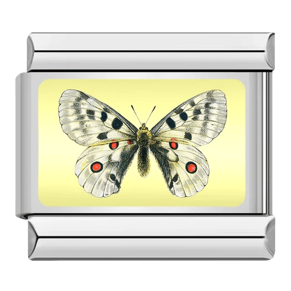 White Butterfly Italian charm 9mm with red accents on yellow background