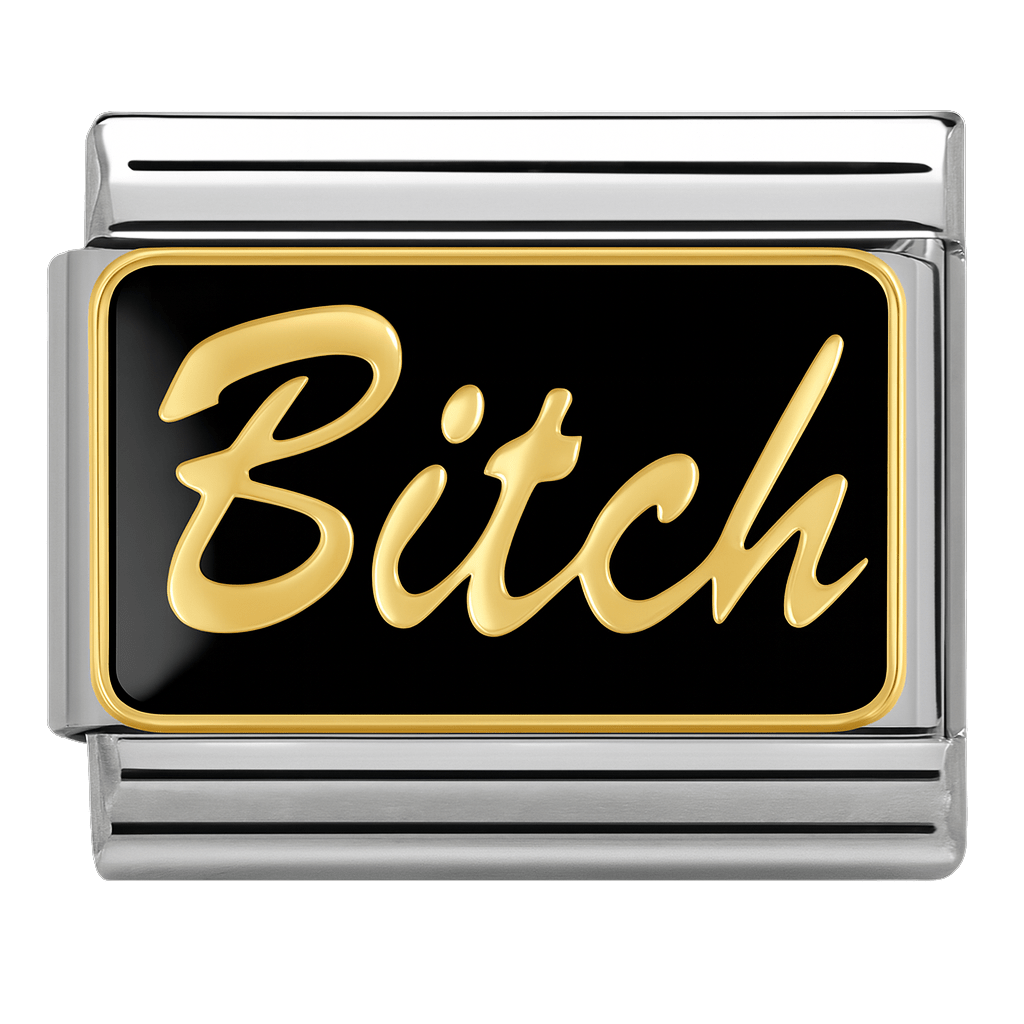 bitch text Italian charm 9mm bracelet link