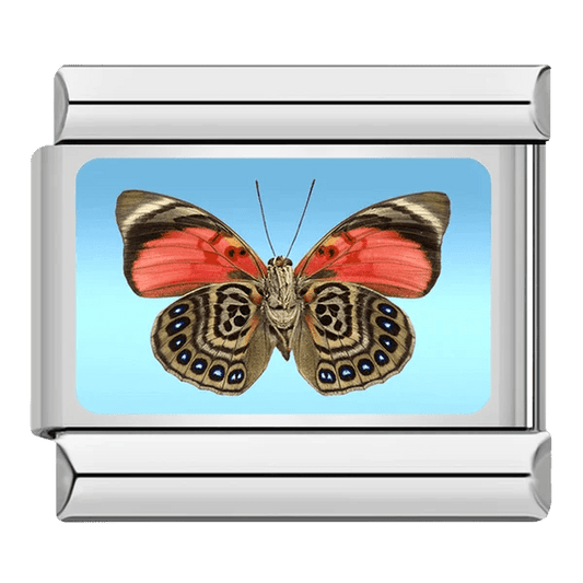Butterfly - – Italian Charm Bracelet by Charmette