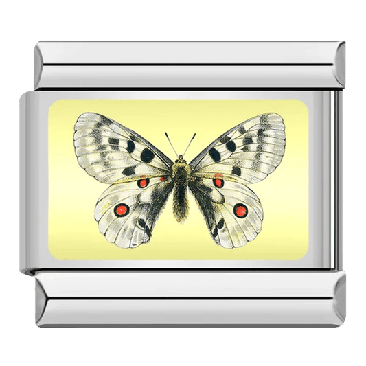 Butterfly - – Italian Charm Bracelet by Charmette
